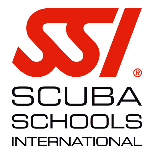 SSI Scuba School International Logo